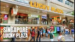 Lucky Plaza (D9), Shop House #517491361